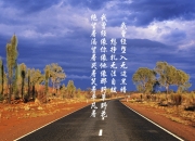 开云体育登录-逆光之巅，2026世界杯半决赛，伊朗铁骑踏破枫叶之国，C罗以不朽之姿定义永恒