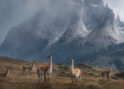 开云体育-跨洲际的足球传承，孙兴慜里程碑与英格兰绝杀夜的共鸣
