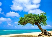 开云体育入口-一场跨越时空的足球对话，加拿大国家队如何完胜百年豪门AC米兰？