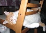 开云体育平台APP-终极狂飙对古典乐章，马里抢七战一球击碎哥伦比亚百年足球梦