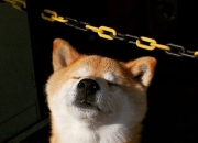 开云体育app-冰冷的数据，滚烫的血，阿劳霍三个决定命运的瞬间