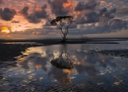 开云体育app-无名之辈的璀璨之夜，乔治单节26分打爆活塞，一球封神引爆北岸花园！