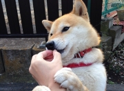 开云APP-双面逆袭，从雷克雅未克到伯纳乌，非主角的史诗接管