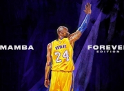 开云体育登录-西决遗风东渐，纽约硬骨头啃下南海岸烈焰