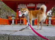 开云体育官网-埃及式逆袭，当塞维利亚的冷箭遇见迪亚斯的国家德比权杖