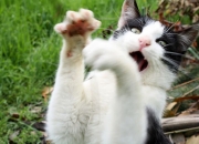 开云体育中国-粉碎希腊黄昏的钢铁之魂，莫德里奇化身关键巫师，书写马德里夜战传奇