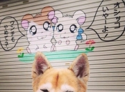 开云APP-风暴眼，拉梅洛如何以攻防转换核心撕碎雄鹿，尼克斯崛起新秩序