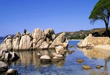 开云体育APP下载-唯一性的双重奏，奇才决胜尼克斯，爱德华兹抢七封神