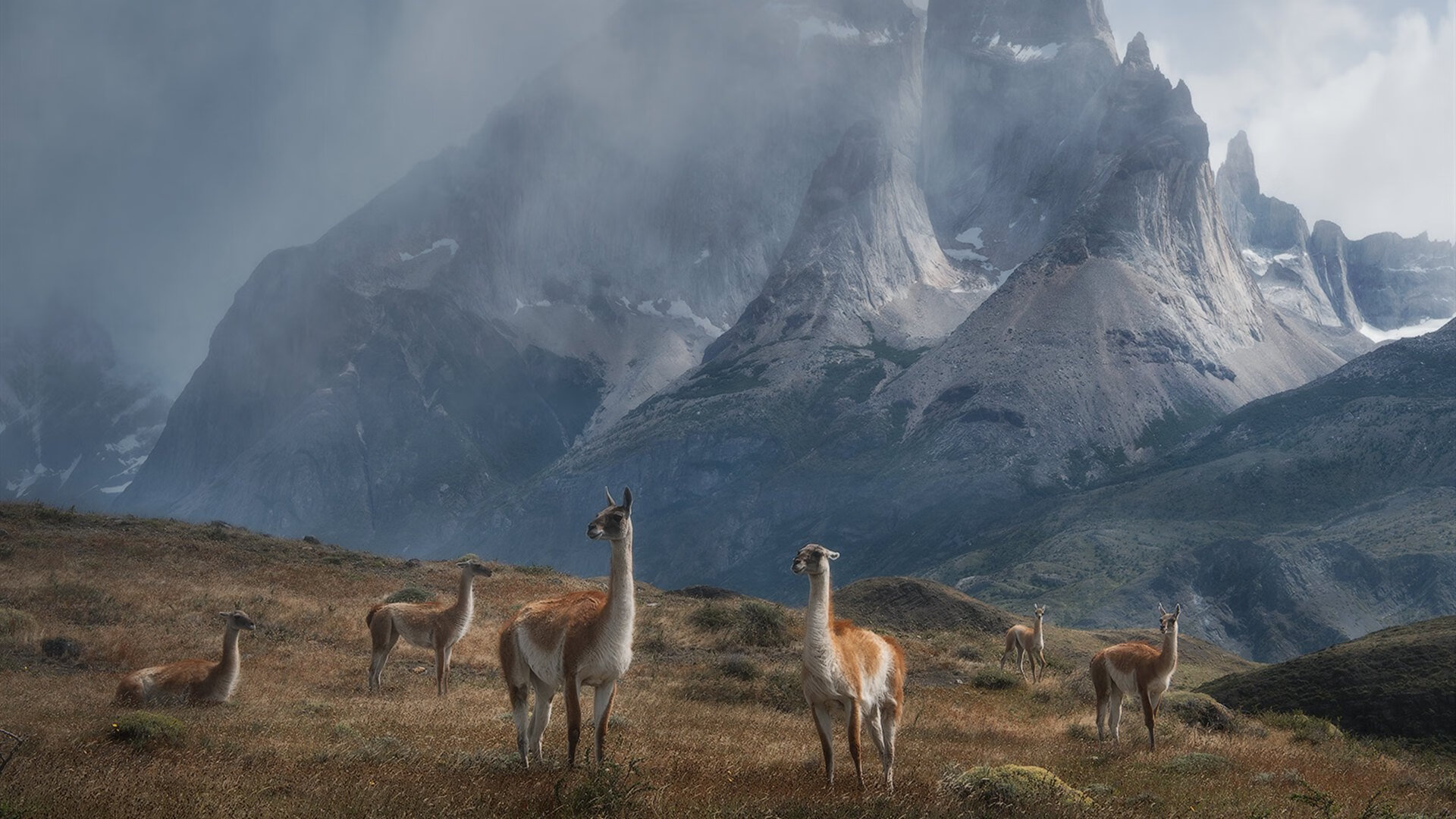 跨洲际的足球传承,孙兴慜里程碑与英格兰绝杀夜的共鸣