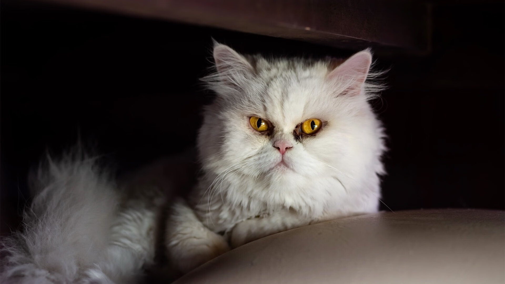 欧冠淘汰赛之夜,争议之王?拉梅洛攻防两端统治—今夜,他说了算