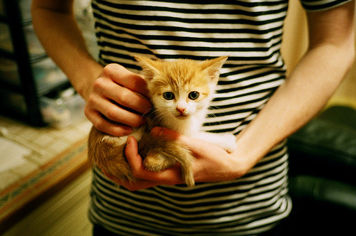 绿茵场上的奥运前哨战,荷兰鏖战马德里竞技的唯一性解读