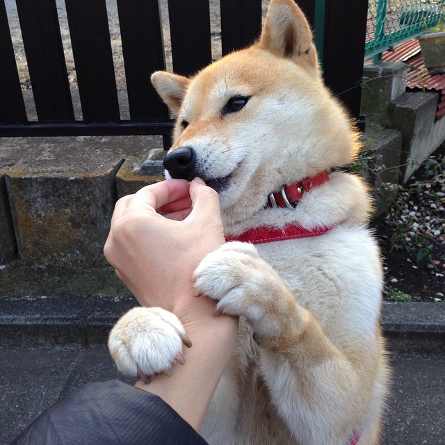 双面逆袭,从雷克雅未克到伯纳乌,非主角的史诗接管