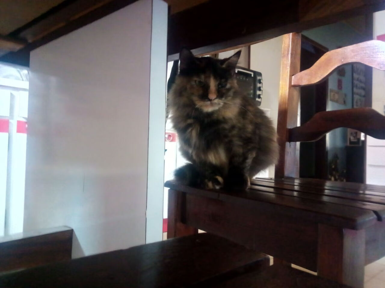 卡拉斯科绝世爆发,塞内加尔碾压日本挺进世界杯八强