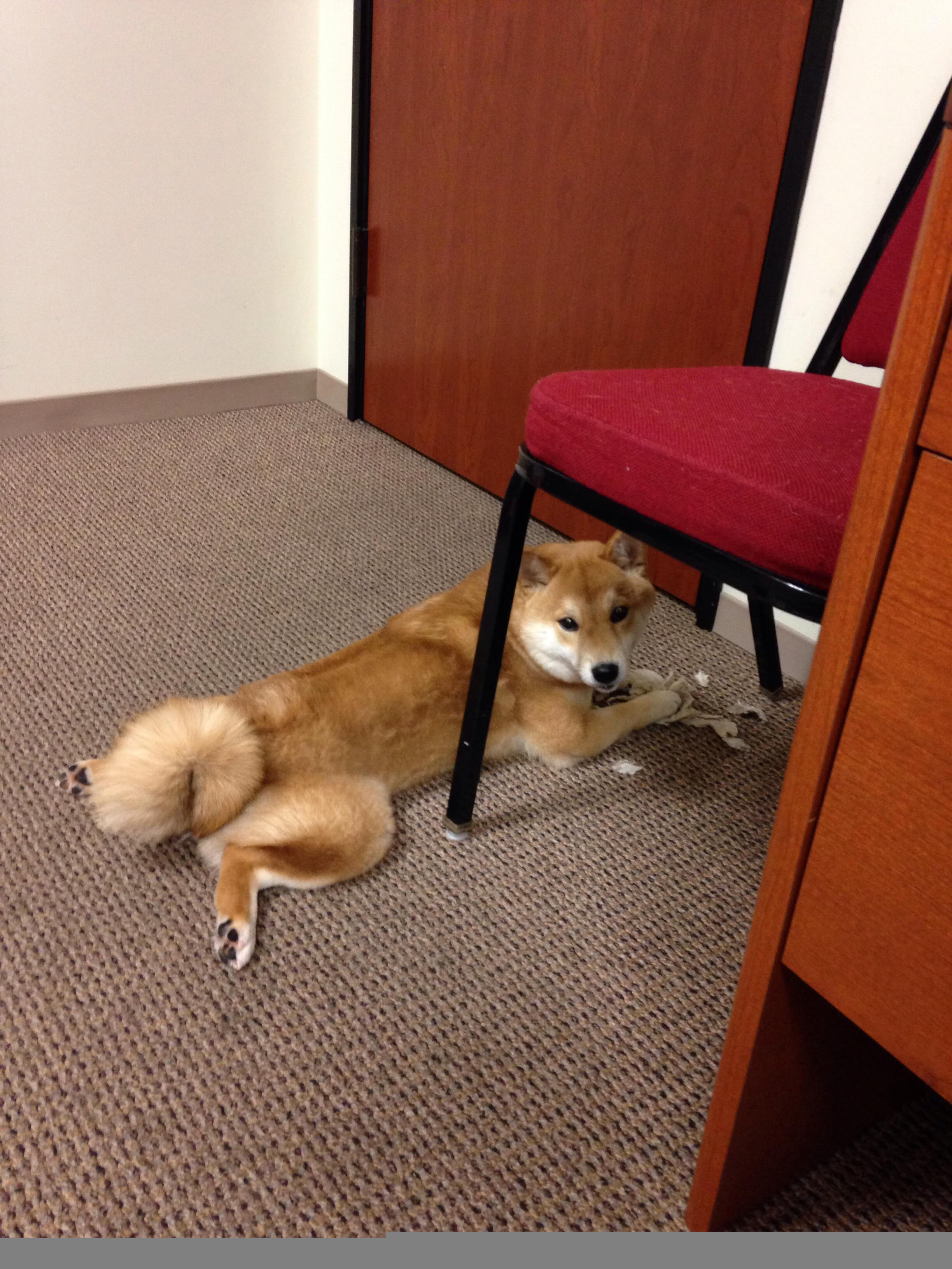 诺坎普高原之战，巴萨攻克玻利维亚式铁桶阵，福登魔幻舞步导演完美胜利