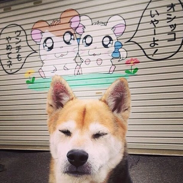 风暴眼，拉梅洛如何以攻防转换核心撕碎雄鹿，尼克斯崛起新秩序